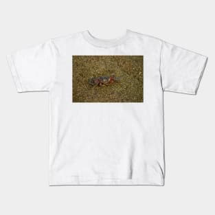 lll Sand crab Kids T-Shirt